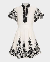 Dori Embroidered Organza Puff-Sleeve Mini Dress