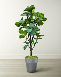 Fiddle Leaf Tree in Planter, 96"