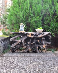 Bronze Cast Root Teak Outdoor Console Table