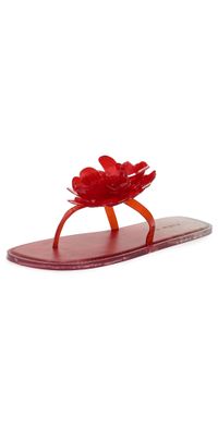 FARM Rio Exclusive Flower Jelly Flat Sandals Red 6/7