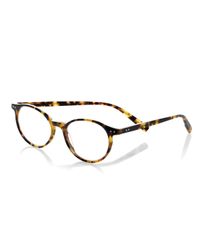 Case Closed Plaid Acetate Reading Glasses