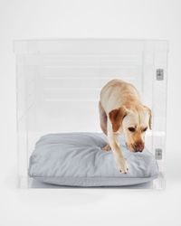 Large Clear View Pet Crate with Silver Latch