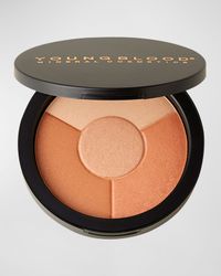 Mineral Radiance 4-in-1 Powder