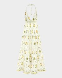 Jacinta Backless Halter Maxi Dress