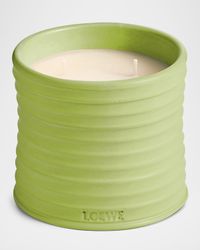 Medium Cucumber Candle, 20.7 oz.