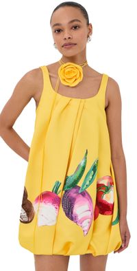 Leo Lin Suki Puff Mini Dress Harvest Print 10