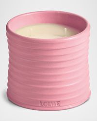 Medium Ivy Candle, 21.5 oz.