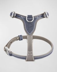 Petite Leather Dog Harness