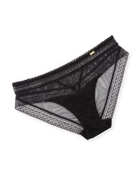 Festivite Lace Brazilian Bikini Briefs