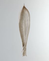 Palm Seed Pod Wall Decor