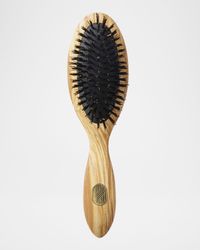 Beaute Petite Repair & Shine Brush, Thick or Curly