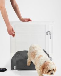 Medium Clear View Pet Crate with Silver Latch