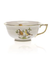 Rothschild Bird Cup #7