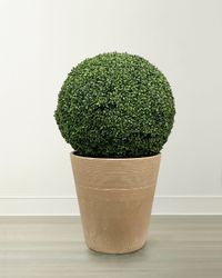 Boxwood Ball in Planter