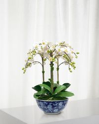 Faux Orchid in Longlife Bowl