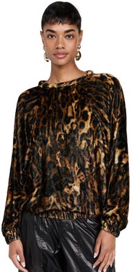 Isabel Marant Dabia Velvet Top Leopard 34