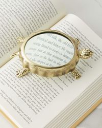 Turtle Magnifying Glass