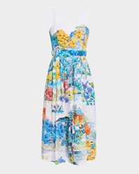 Iris Painterly-Print Sleeveless Fit-&-Flare Midi Dress