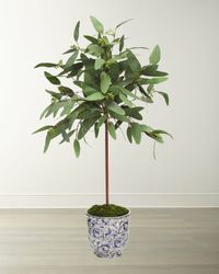Long Eucalyptus in Cache Pot