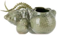 Forma Rosa Studio Green Botryoidal Planter