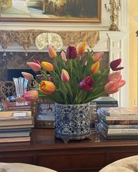Tulips in Pot