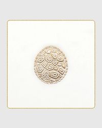 Tortoise Coasters, Set of 18