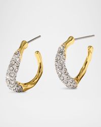 Solanales Crystal Twist Mini Hoop Earrings