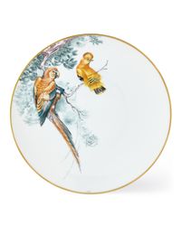 Carnets d' Equateur Birds Dinner Plate
