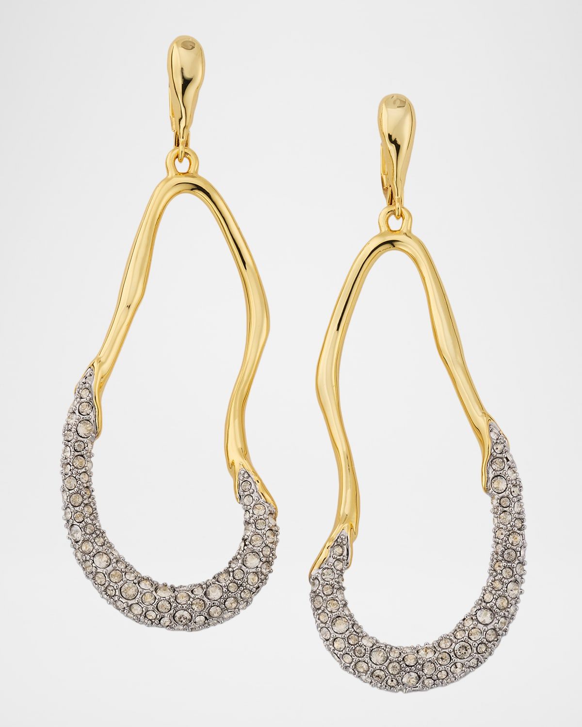 Solanales Crystal Curve Leverback Drop Earrings