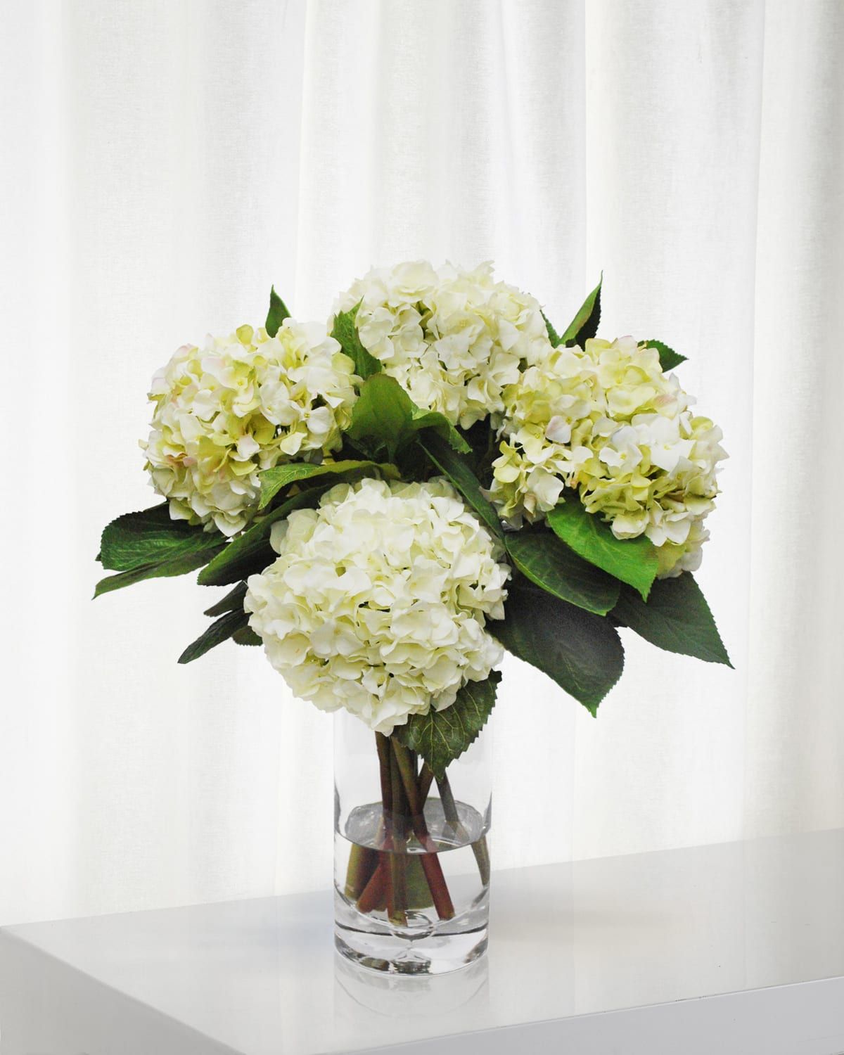 Hydrangea in Glass Vase