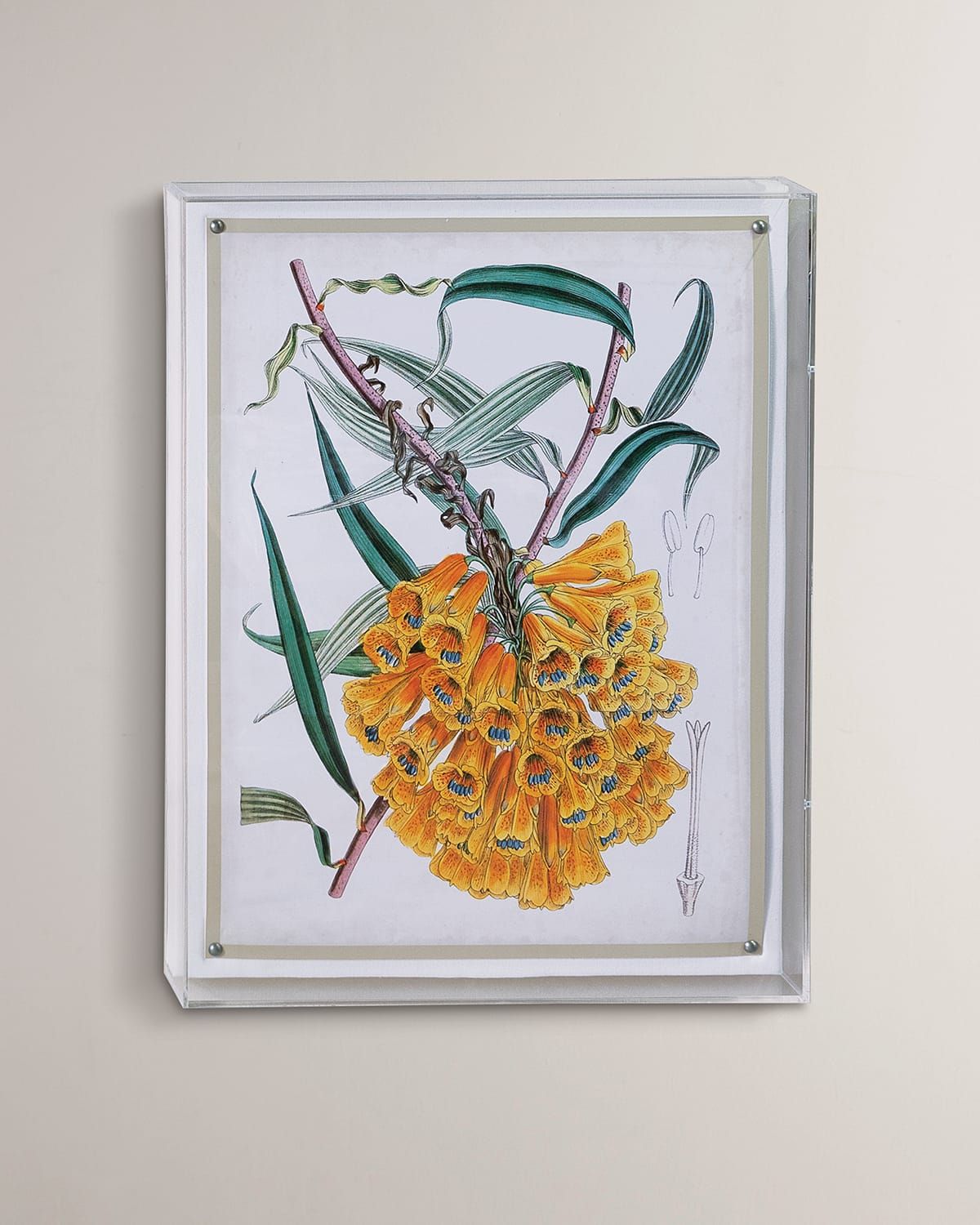 Tropicals VI Giclee