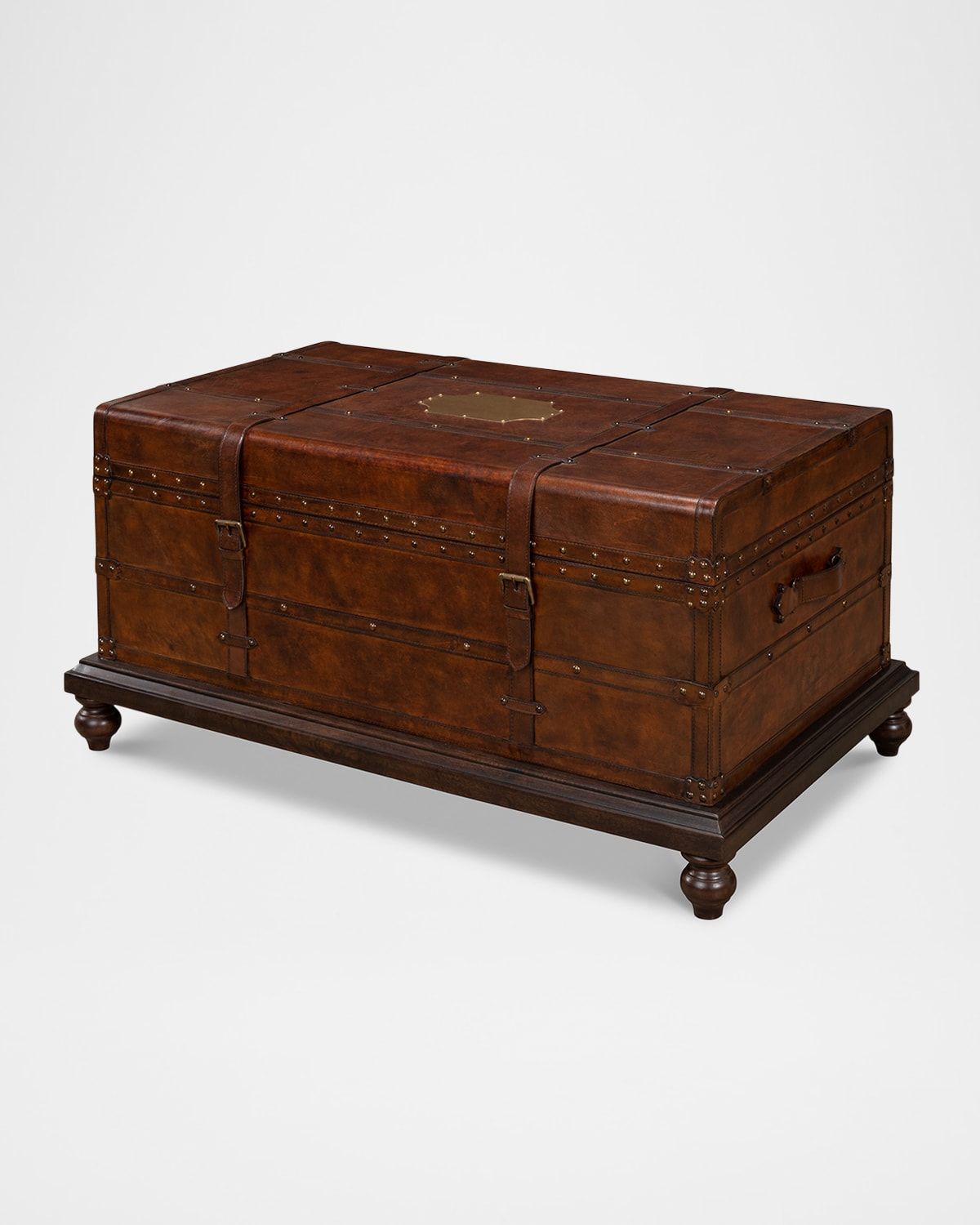 Laramis Trunk Coffee Table