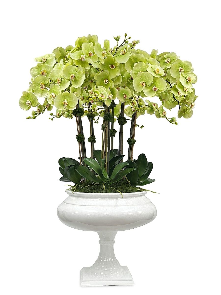 Everyday Newness Refresh Faux Orchid Arrangement - Green