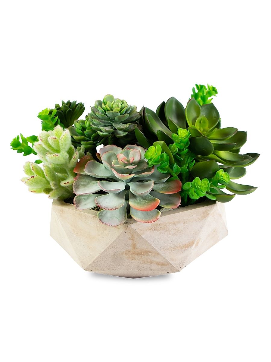 Everyday Floral Mix Succulent In Hexagon Vase