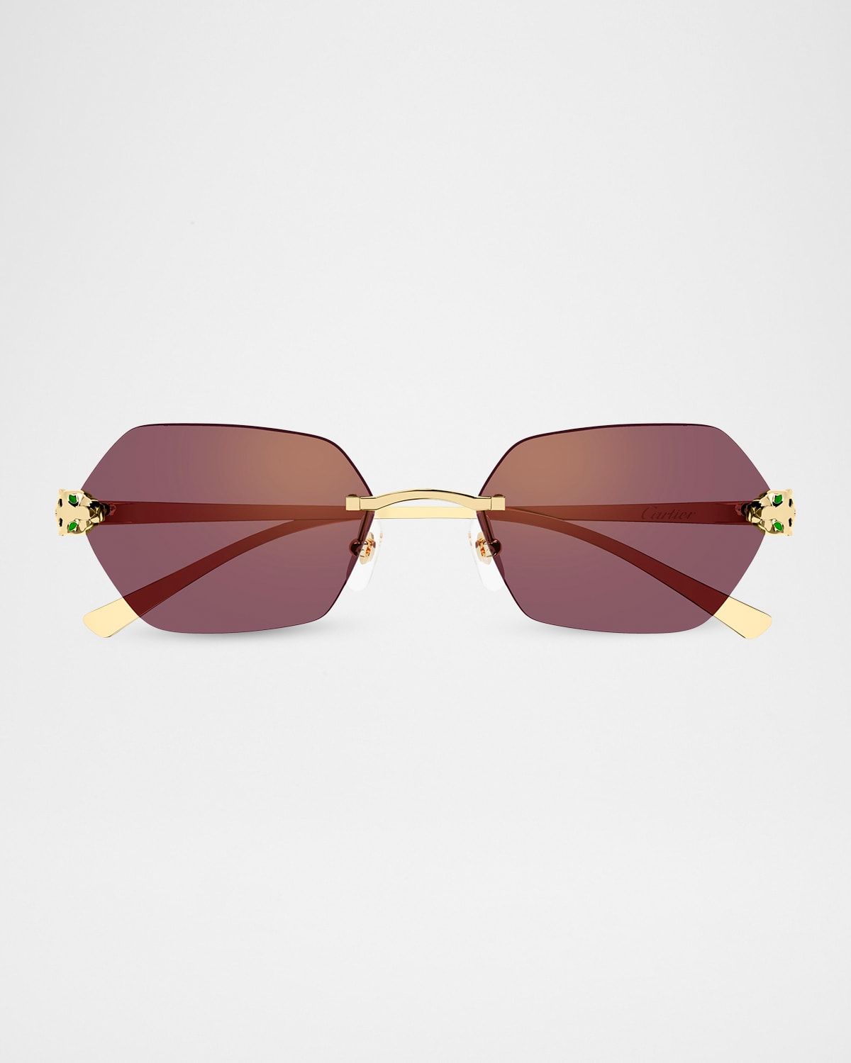 Panthère de Cartier 55mm Geometric Sunglasses