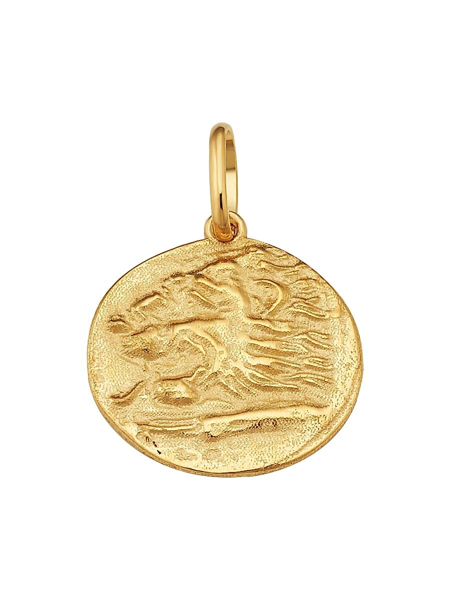 Women's 14K Yellow Gold Greek Lion Medallion Pendant Charm - Gold