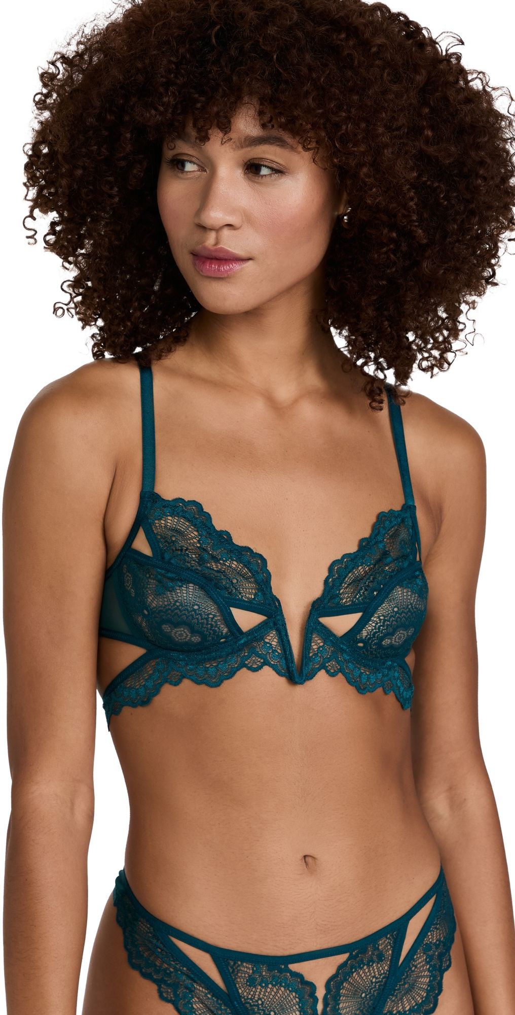 Thistle and Spire Kane Bra Chameleon 36D
