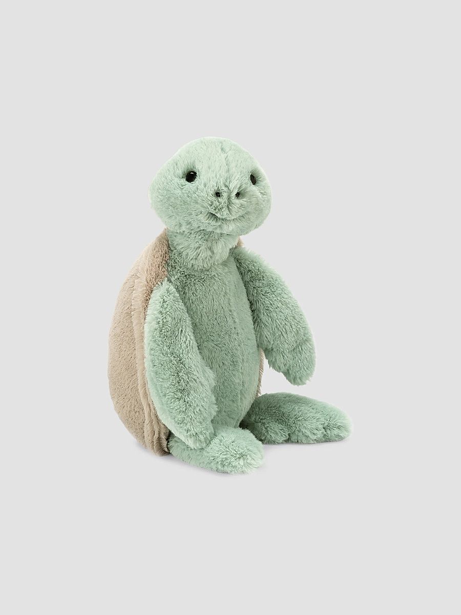 Kid's Bashful Turtle