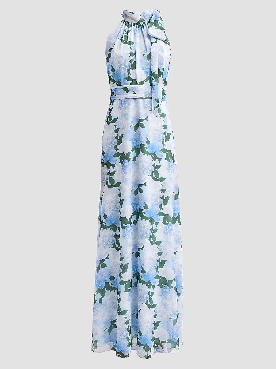 Women's Diana Chiffon Floral Gown - Glacial Peonies - Size 14