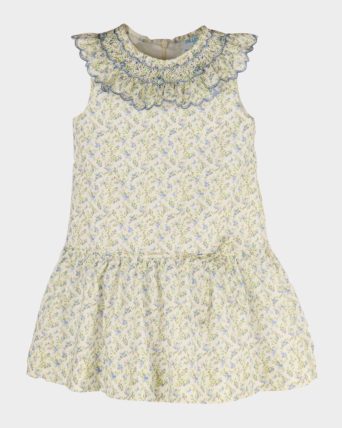 Girl & apos;s Embroidered Smocked Floral Dress, Size 2-6X