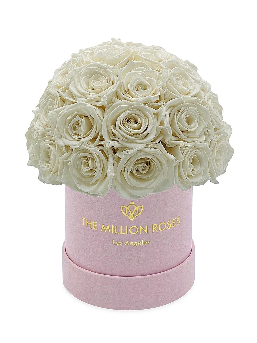 Basic Roses In Light Pink Suede Superdome Box - White