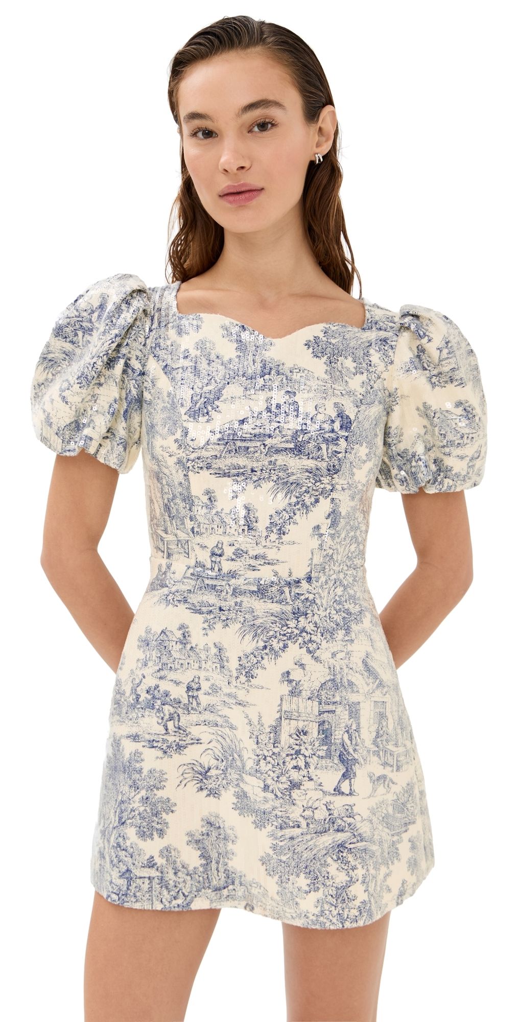 Tanner Fletcher Helene Puff Sleeve Sequin Toile Dress Blue Toile Sequin 3