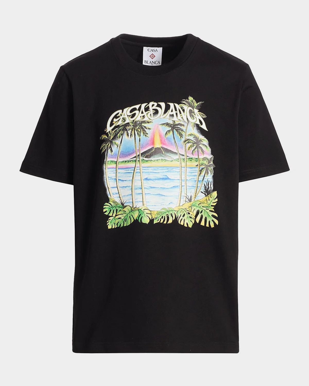 Men & apos;s Organic Cotton Volcano Logo T-Shirt