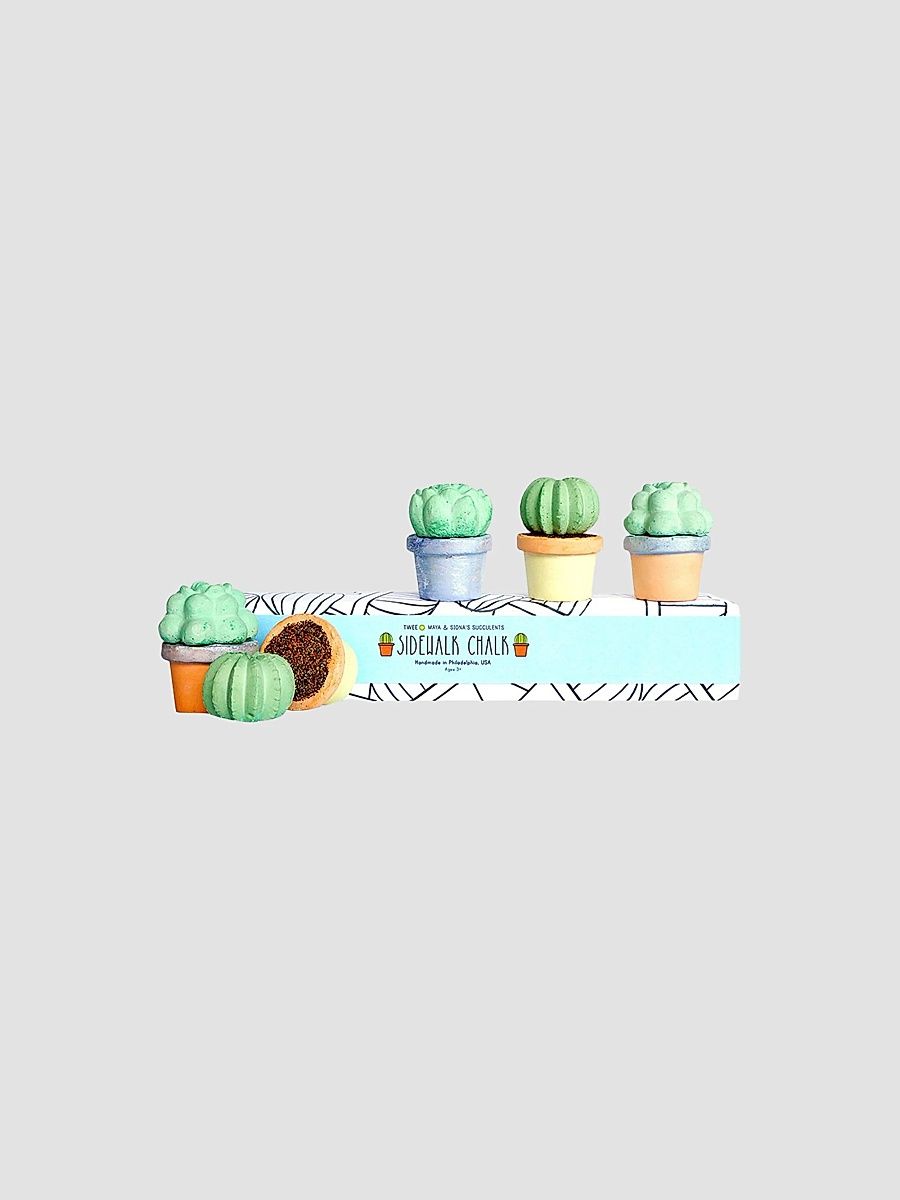 Unisex Kid's Maya & Siona's Succulent Sidewalk Chalk Set - Multi