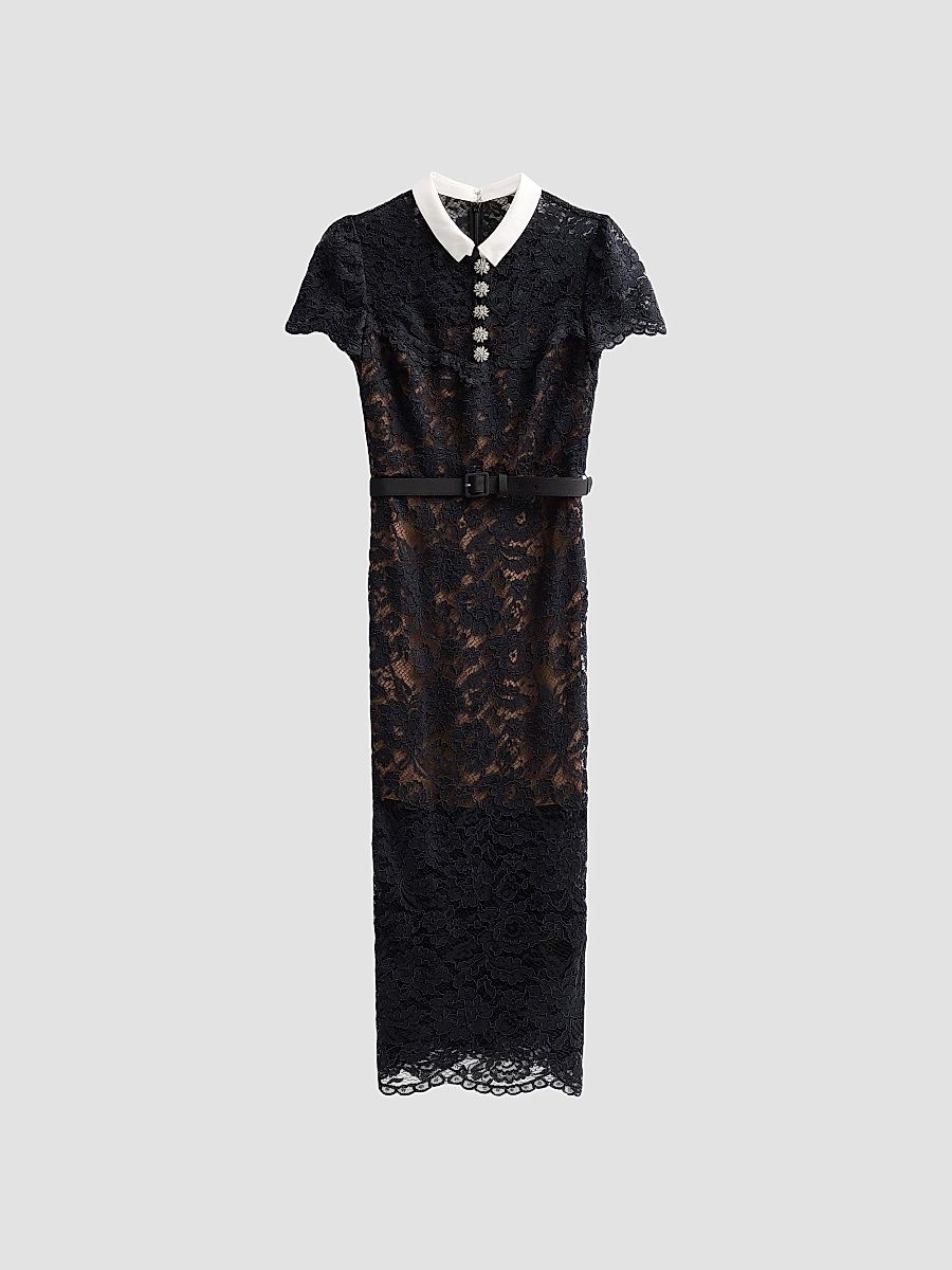 Women's Lace Contrast Collar Midi Dress - Black - Size 12