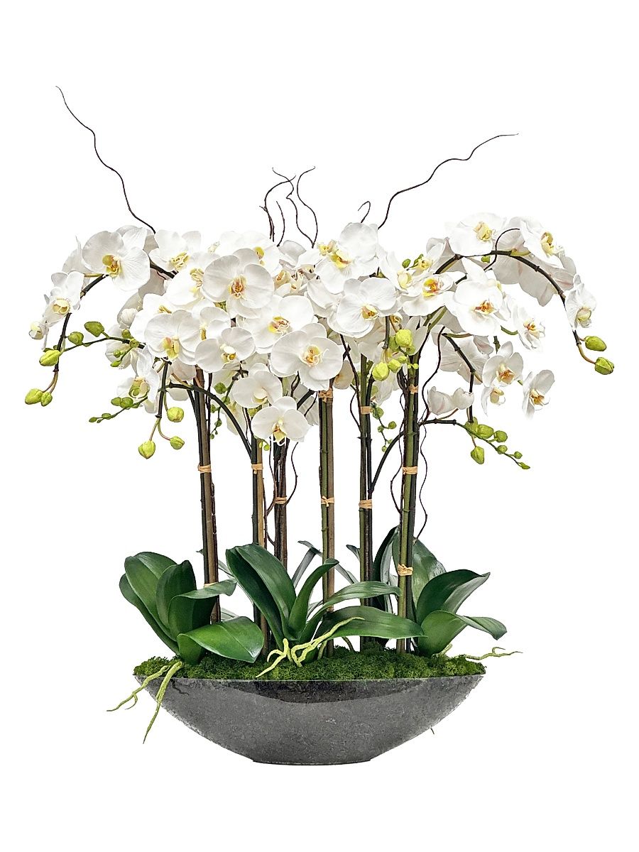 Everyday Newness Refresh Faux Phalaenopsis Arrangement - White