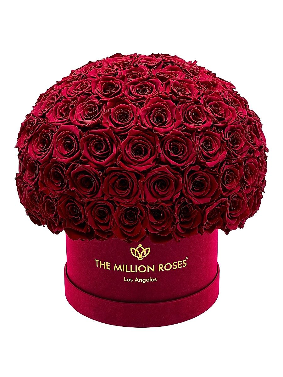 Supreme Bordeaux Suede Superdome Box - Light Pink