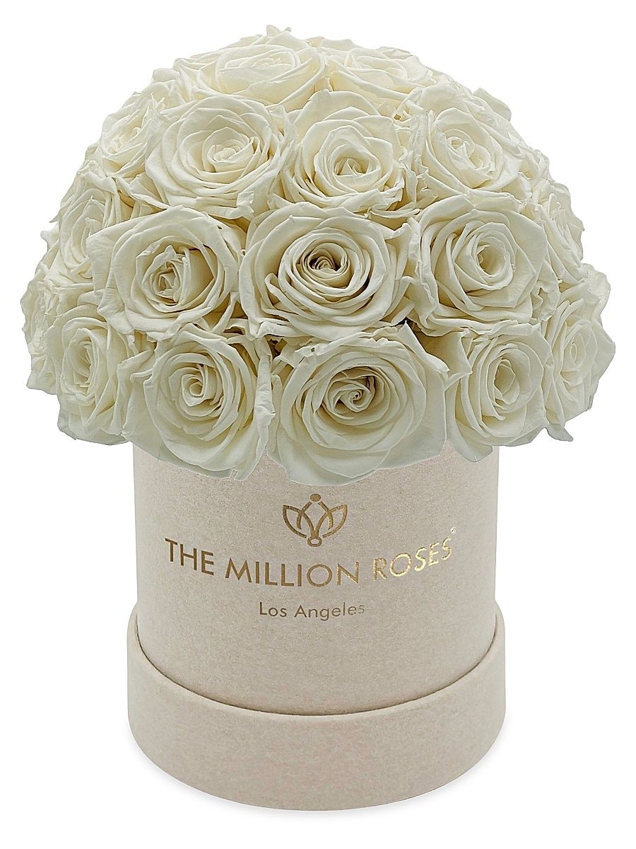 Basic Suede Superdome Box - White