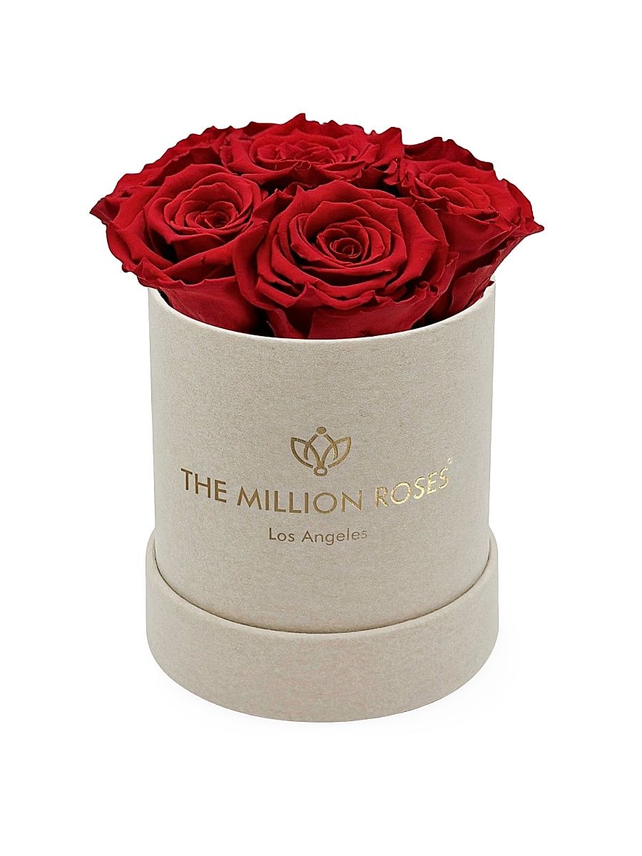 Basic Roses In Suede Box - Light Pink