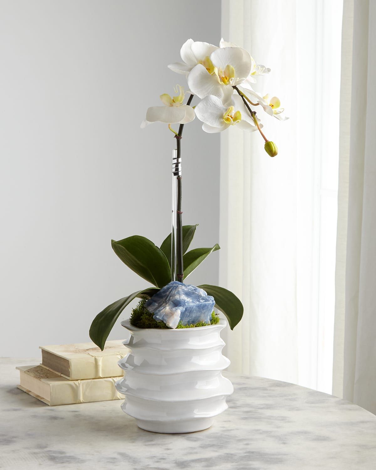 White Orchid in Contemporary Pot